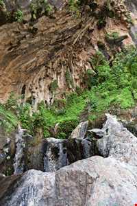 تنگه بهرام چوبین