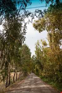 تنگه بهرام چوبین