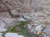 Lador Spring and Waterfall