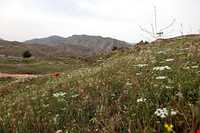 شهر باستانی سیمره