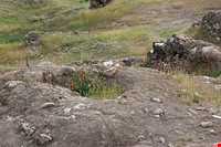 شهر باستانی سیمره