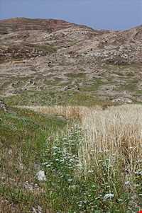 شهر باستانی سیمره