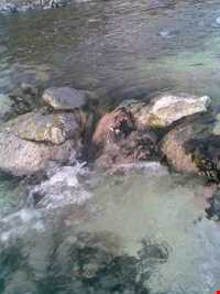 Mineral hot springs DEHLORAN