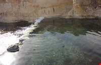 Mineral hot springs DEHLORAN