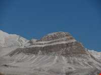 Kolahe forbidden hunting area