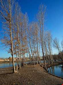 سواحل زاینده رود