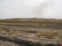 تپه علی‌کش