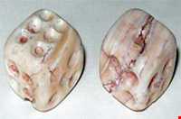 Shahr-e Sukhteh (Shahr-i Sokhta)