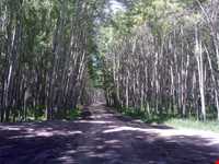 Sararood Coastal Park