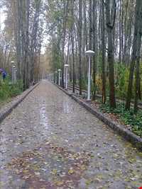 پارک ساحلی سرارود ( بیشه )