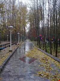 پارک ساحلی سرارود ( بیشه )