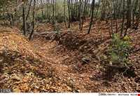 پارک ساحلی سرارود ( بیشه )