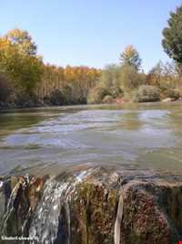 پارک ساحلی سرارود ( بیشه )