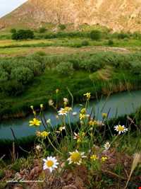 سراب ملوسان