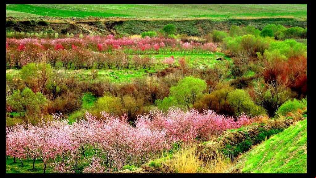 سراب ملوسان