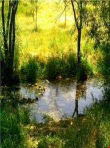 سراب گاماسیاب