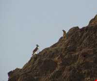 منطقه گردشگری خاییز ( خائیز )