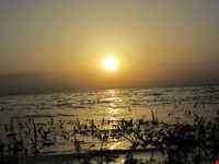 Hamoon Lake ( hamoun )