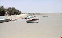 Hamoon Lake ( hamoun )