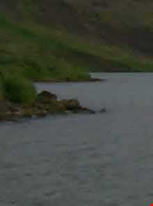 دریاچه هامون