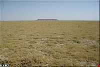 Hamoon Lake ( hamoun )