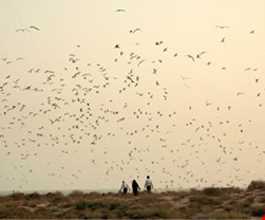 پارک ملی دیر - نخیلو