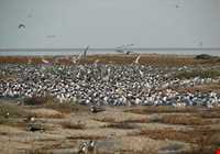 پارک ملی دیر - نخیلو