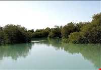 پارک ملی دیر - نخیلو