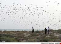 پارک ملی دیر - نخیلو