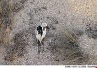 پارک ملی دیر - نخیلو