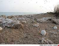 National Park Dayyer - Nakhilo