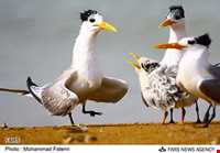 National Park Dayyer - Nakhilo