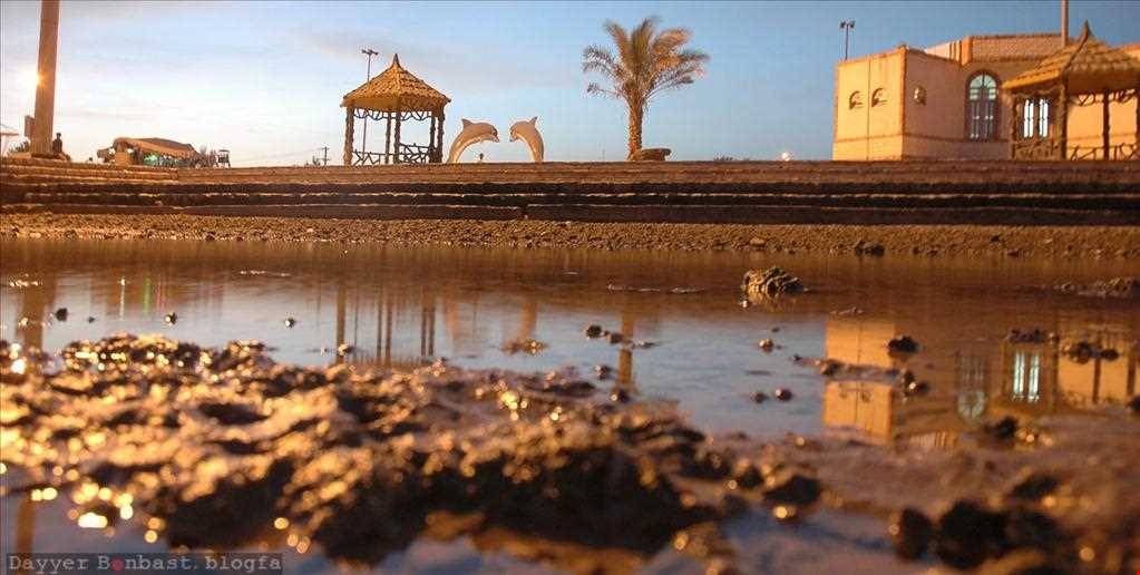 Beach Harbor Of Dayyer