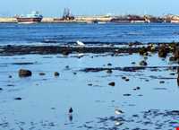 Beach Harbor Of Dayyer