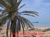 بندر سی‌نیز