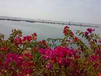 سواحل چابهار