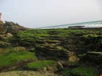 سواحل چابهار