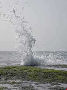 سواحل چابهار