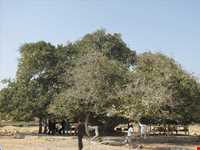 سواحل چابهار