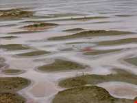 سواحل چابهار