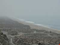 سواحل چابهار