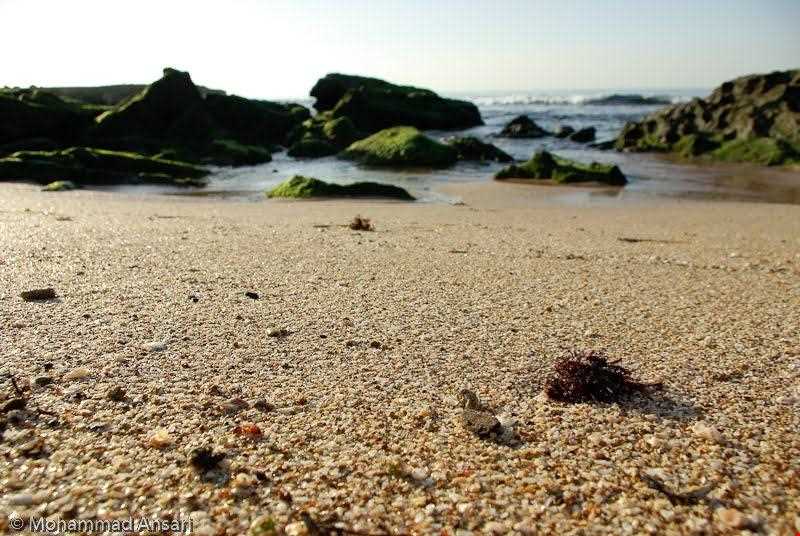 سواحل چابهار