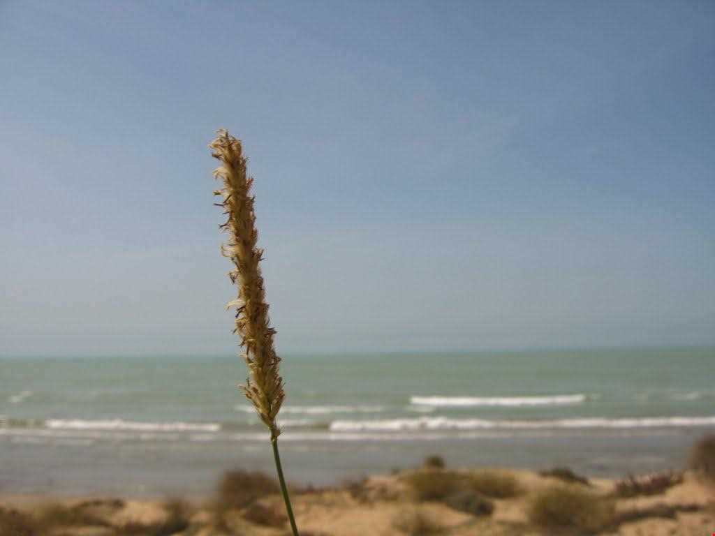 Tourist village Of Malghaed