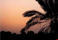 دهکده توریستی مال قائد گناوه