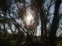 دهکده توریستی مال قائد گناوه