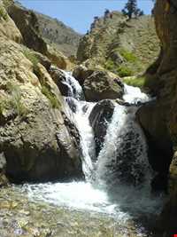 روستای سیور