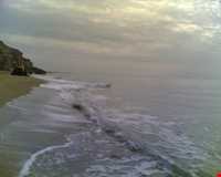 شهر باستانی ریشهر