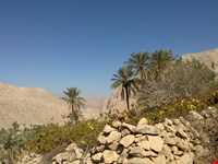 روستای پشکر