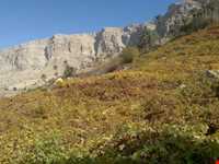 روستای پشکر