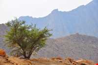 روستای پشکر